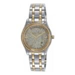Montre Michael Kors Kiley Ladies MK6481