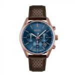 Montre Hugo Boss Champion 1513817