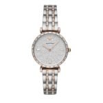 Montre Emporio Armani AR11293